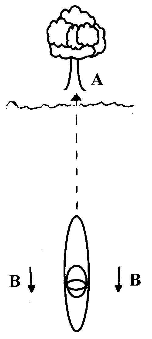Fig 2. Straight line paddling for Novices